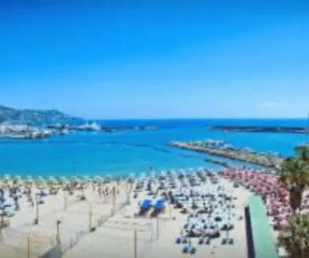 Orchidea - Sanremo